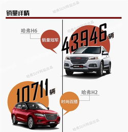 網(wǎng)通社汽車(chē)佳木斯安信 專(zhuān)業(yè)銷(xiāo)售服務(wù)，驅(qū)動(dòng)龍江出行新體驗(yàn)