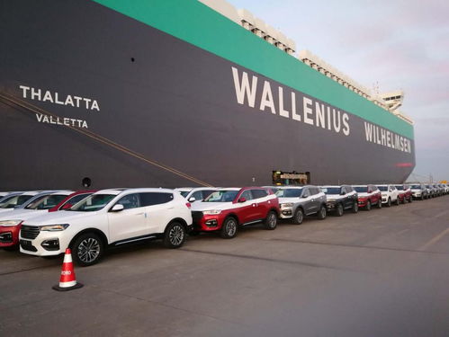 長(zhǎng)城汽車(chē)魏建軍 全球化競(jìng)爭(zhēng)是品牌持久戰(zhàn)，汽車(chē)銷(xiāo)售不可急功近利